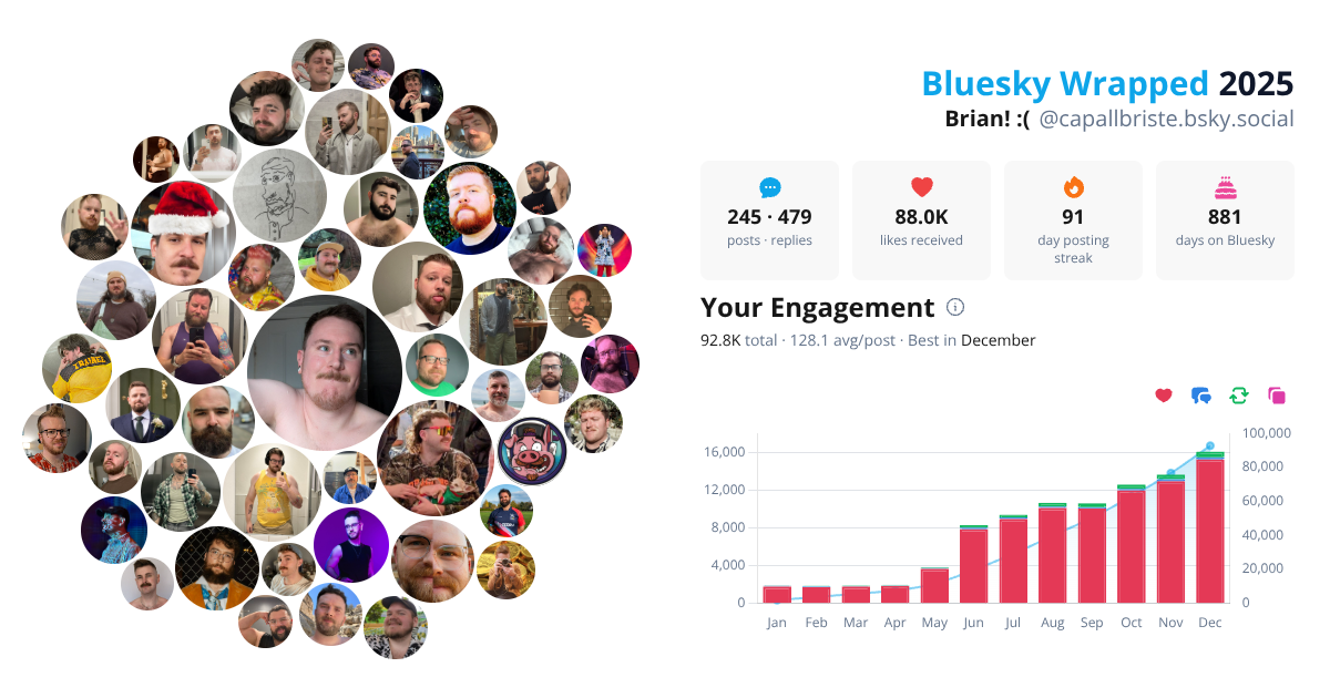Your Bluesky Wrapped 2025 preview