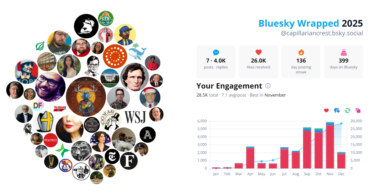 Your Bluesky Wrapped 2025 preview