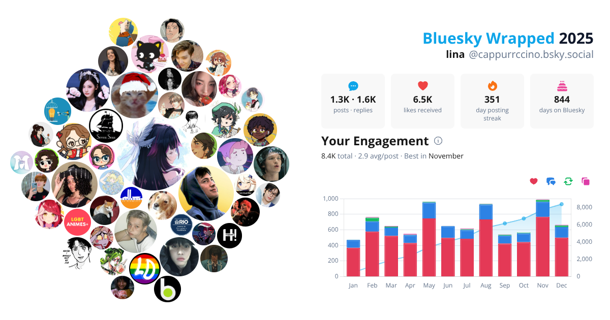 Your Bluesky Wrapped 2025 preview