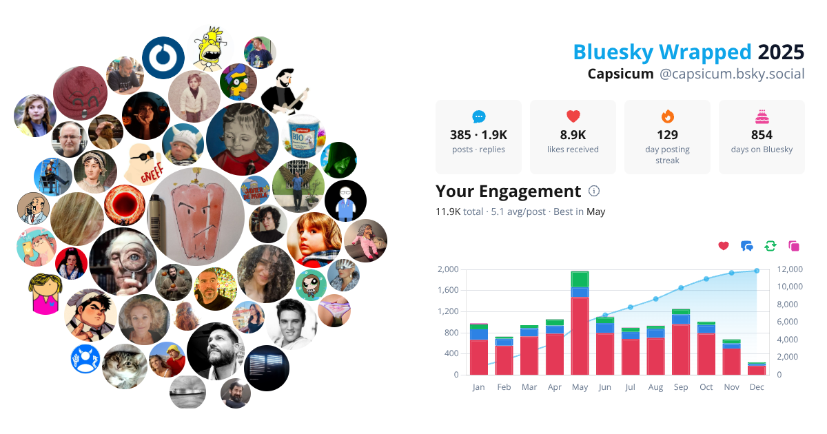 Your Bluesky Wrapped 2025 preview