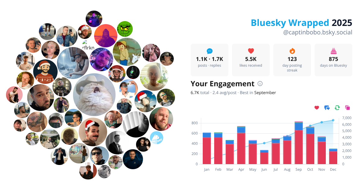 Your Bluesky Wrapped 2025 preview