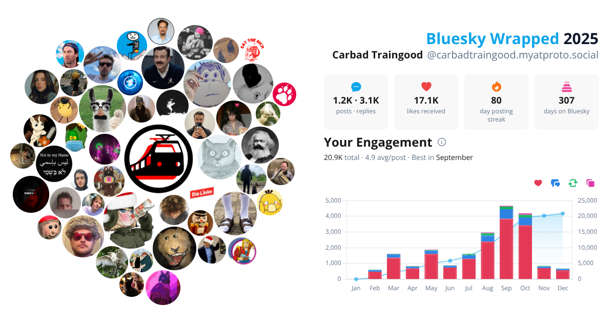 Your Bluesky Wrapped 2025 preview