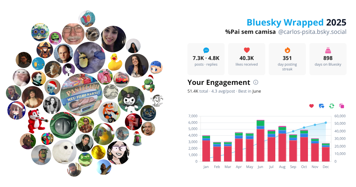 Your Bluesky Wrapped 2025 preview