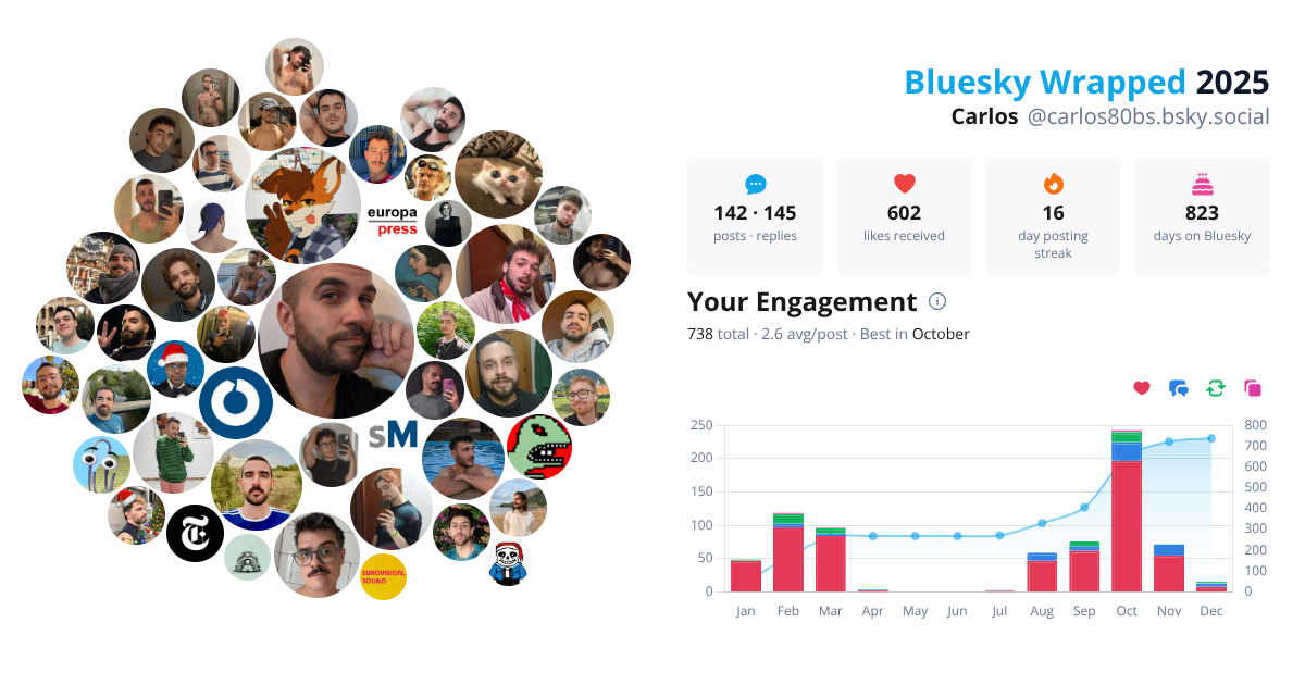 Your Bluesky Wrapped 2025 preview
