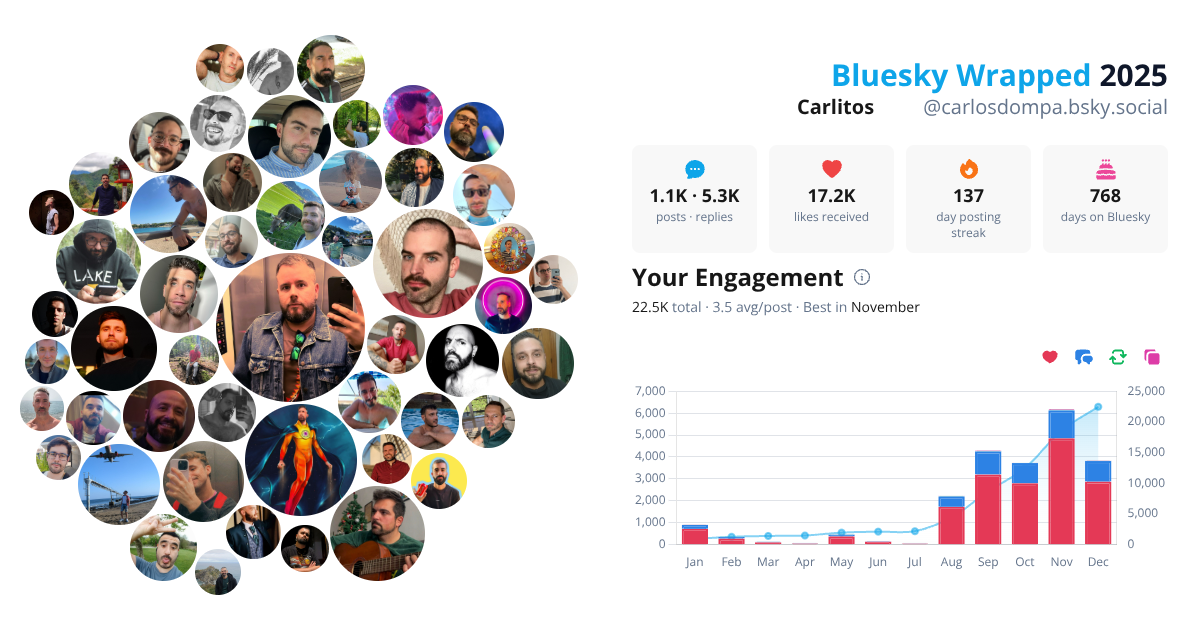 Your Bluesky Wrapped 2025 preview