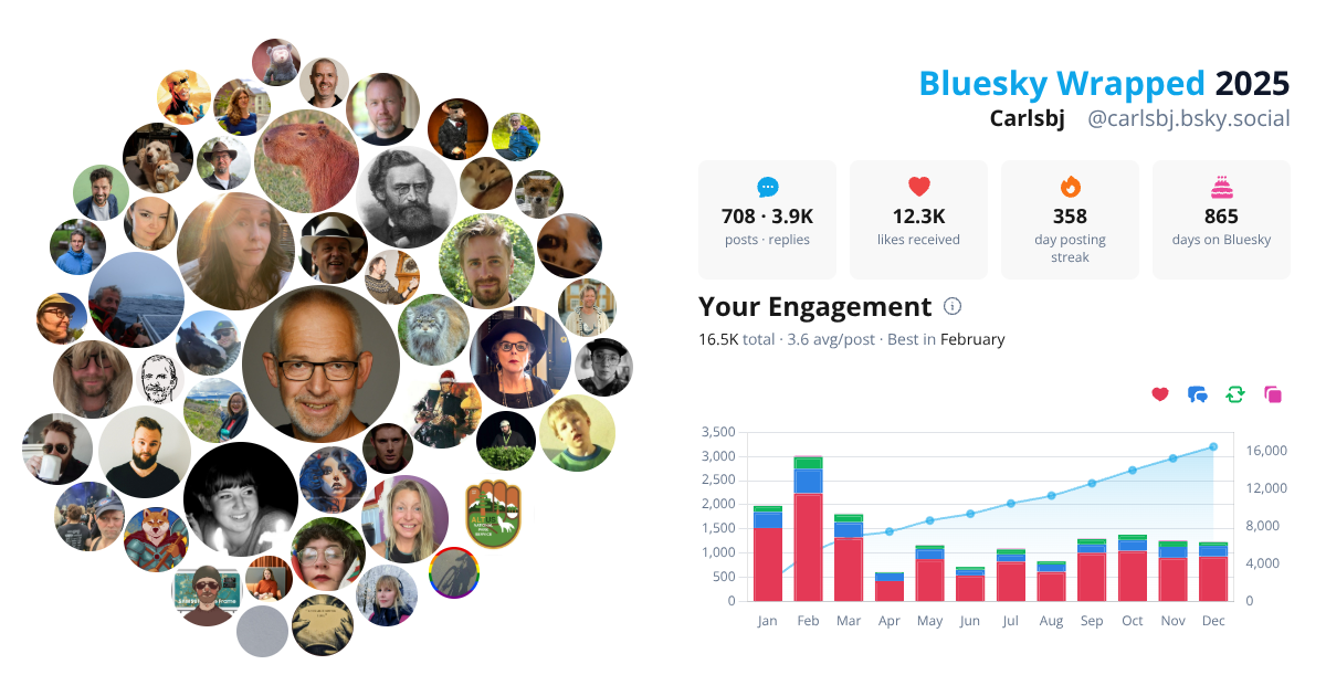 Your Bluesky Wrapped 2025 preview