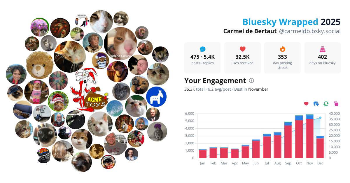 Your Bluesky Wrapped 2025 preview