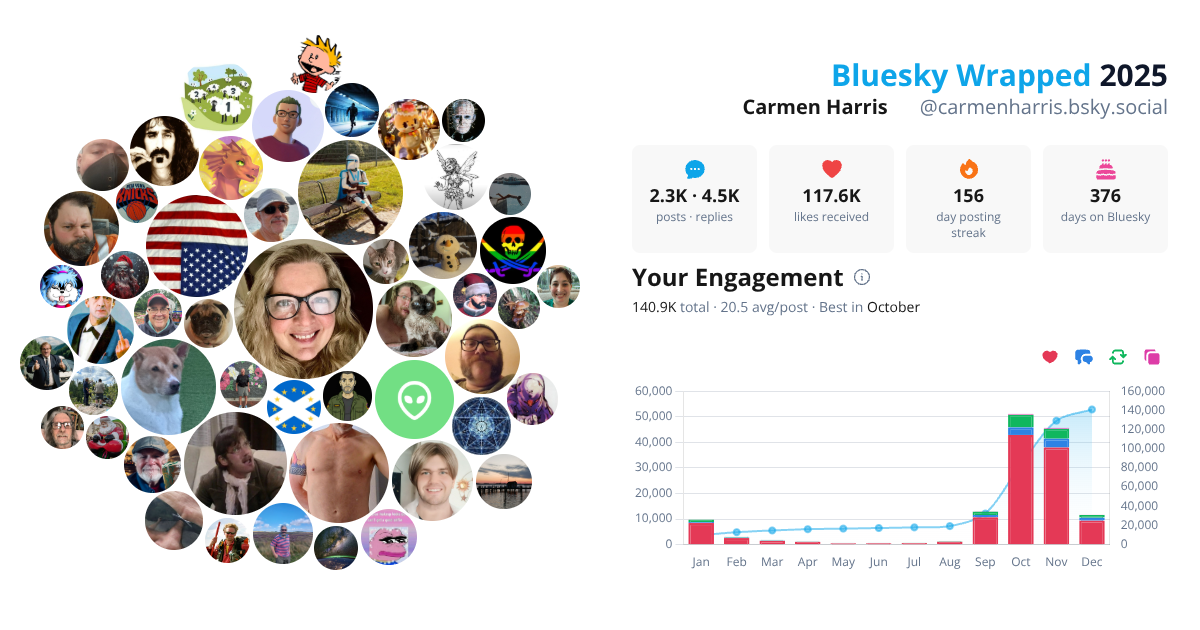 Your Bluesky Wrapped 2025 preview