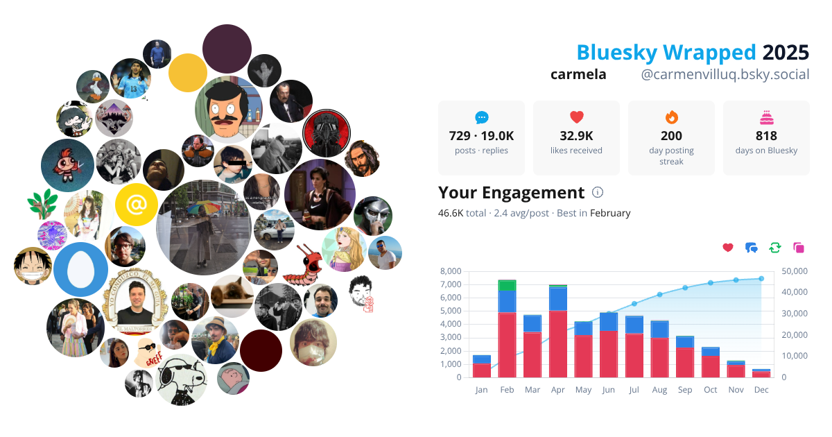 Your Bluesky Wrapped 2025 preview