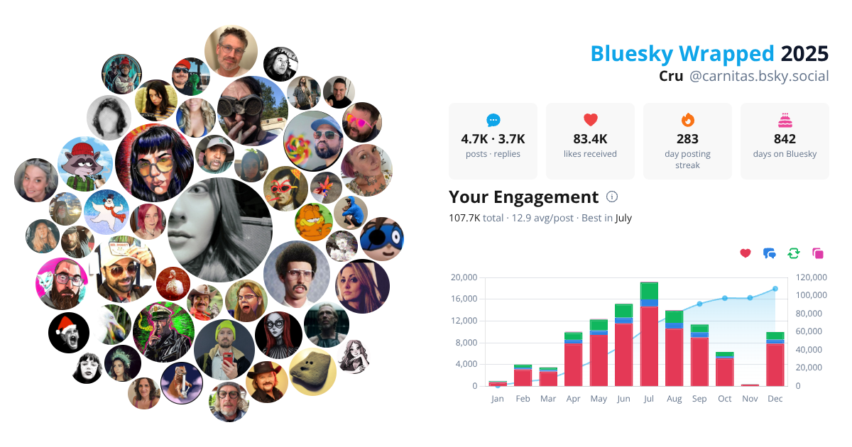 Your Bluesky Wrapped 2025 preview