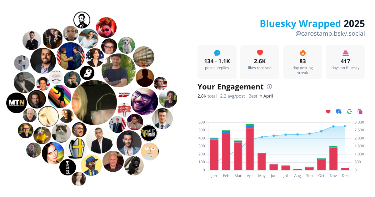 Your Bluesky Wrapped 2025 preview