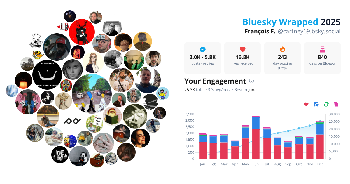 Your Bluesky Wrapped 2025 preview