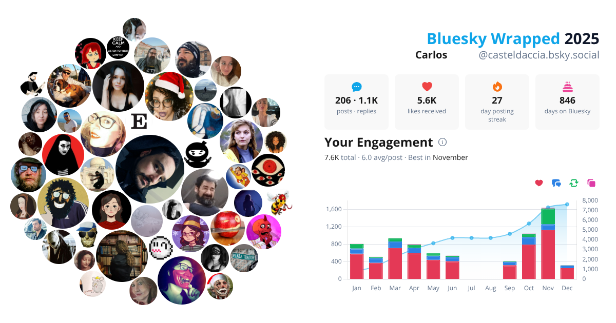 Your Bluesky Wrapped 2025 preview