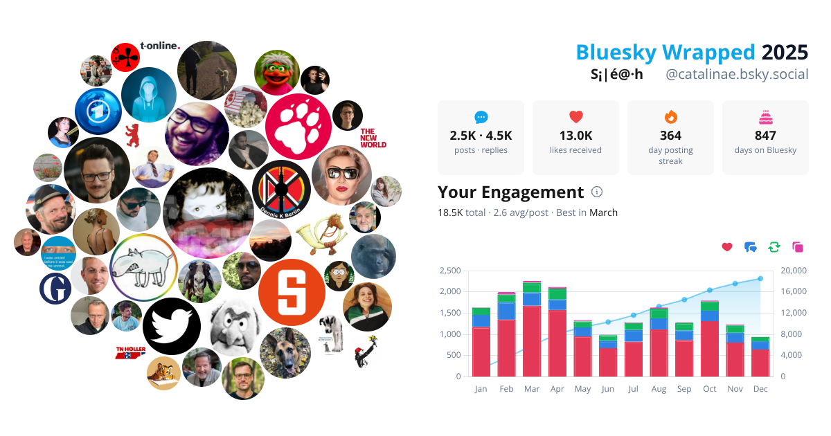 Your Bluesky Wrapped 2025 preview