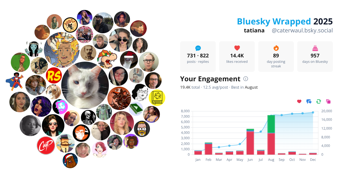 Your Bluesky Wrapped 2025 preview
