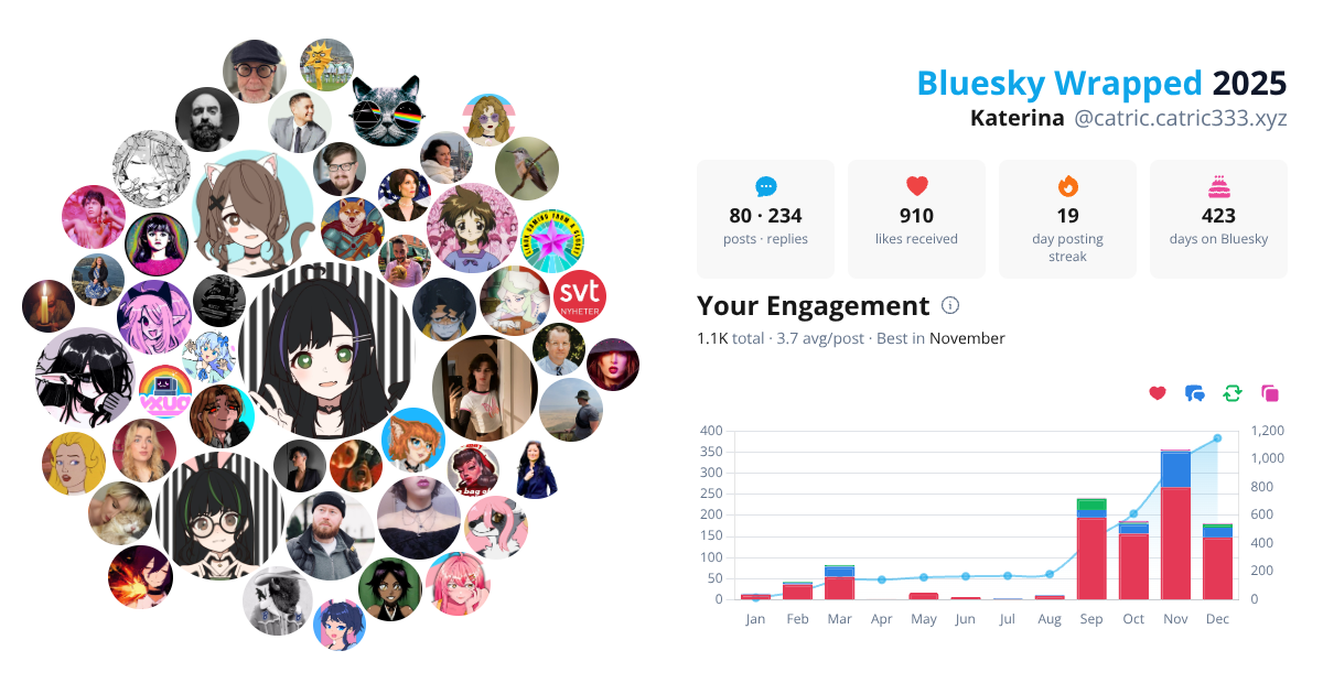 Your Bluesky Wrapped 2025 preview