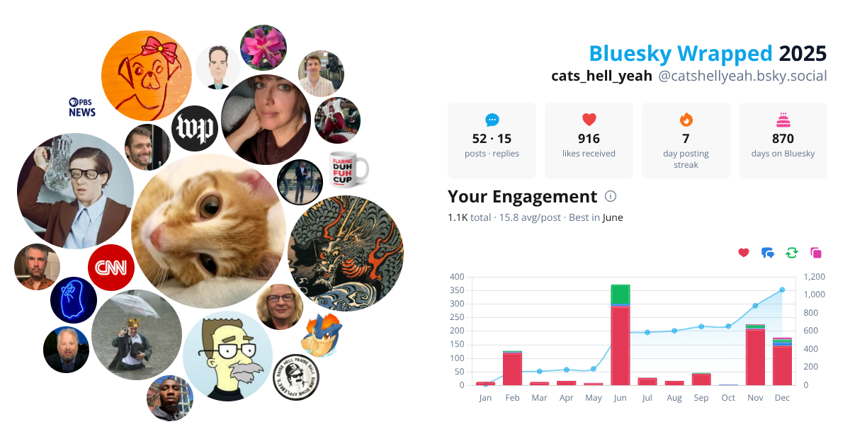 Your Bluesky Wrapped 2025 preview