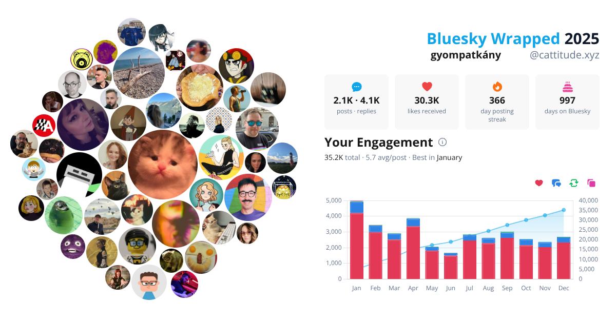 Your Bluesky Wrapped 2025 preview
