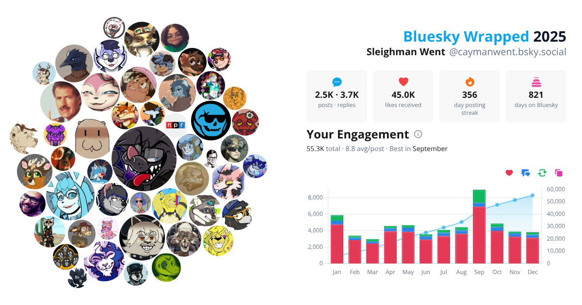 Your Bluesky Wrapped 2025 preview