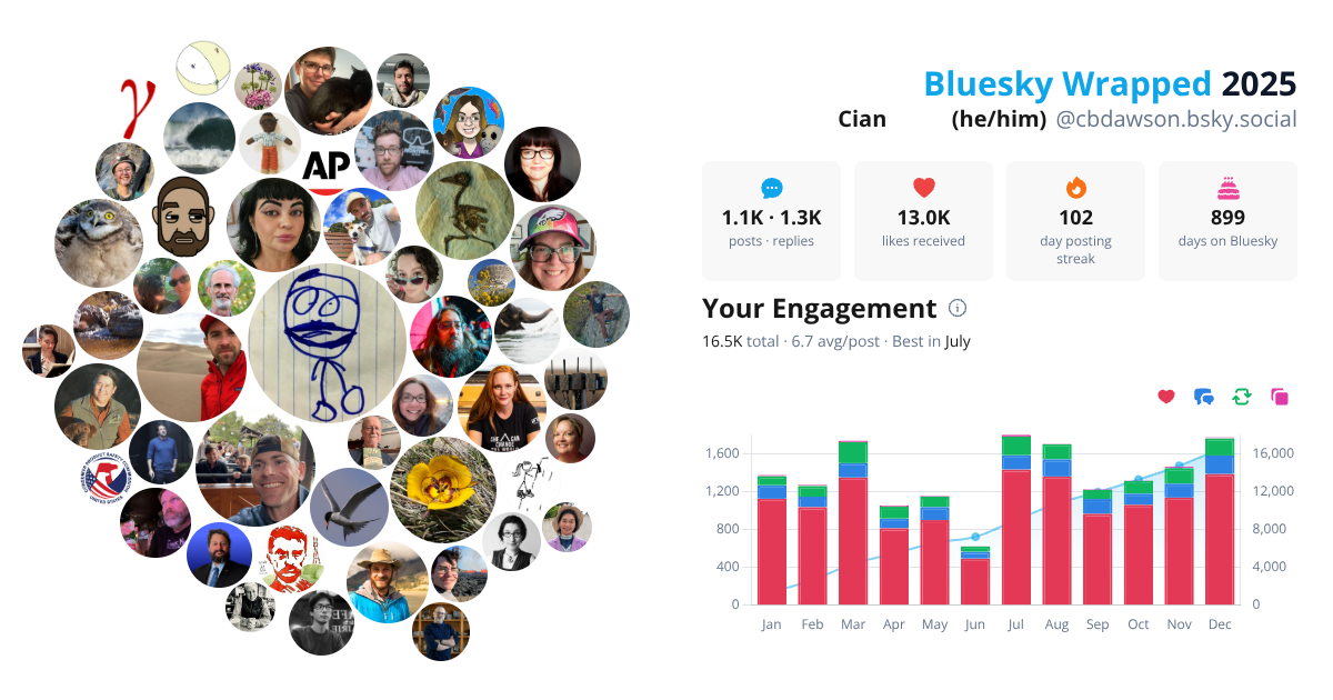 Your Bluesky Wrapped 2025 preview