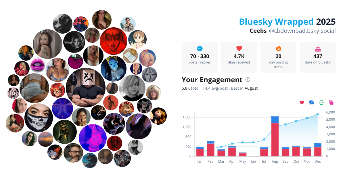 Your Bluesky Wrapped 2025 preview