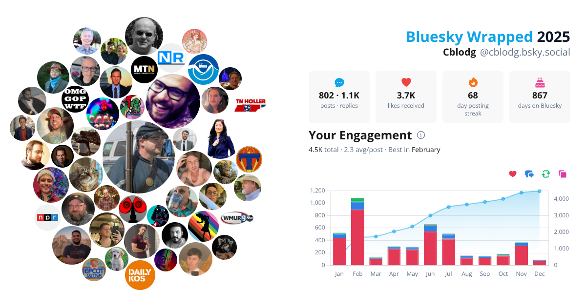 Your Bluesky Wrapped 2025 preview