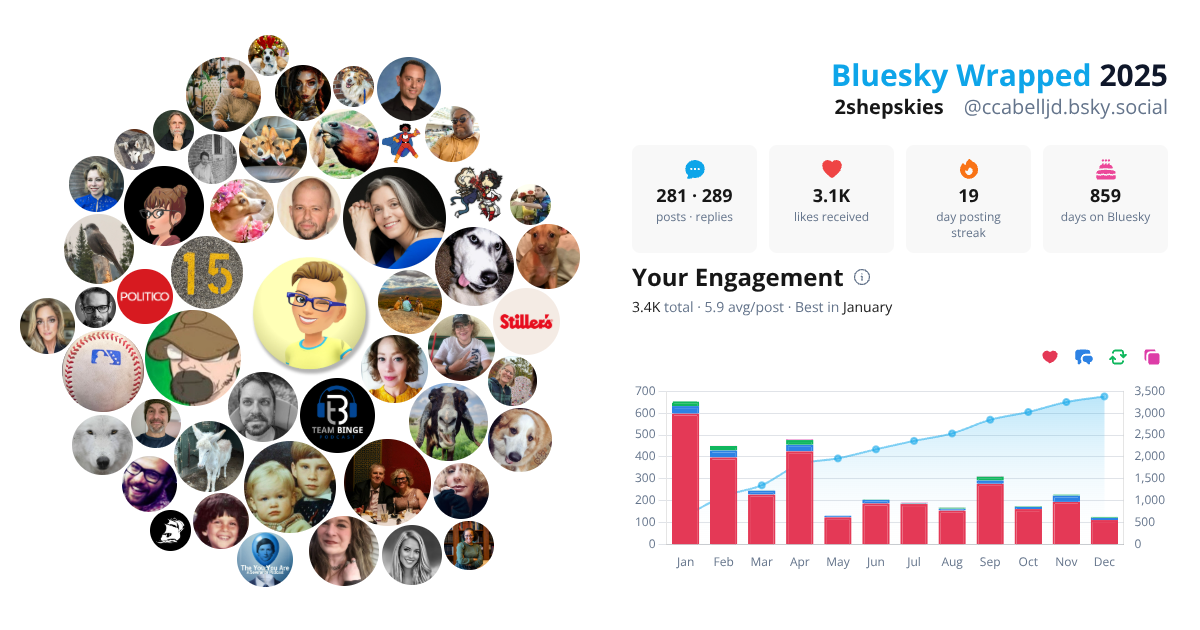 Your Bluesky Wrapped 2025 preview
