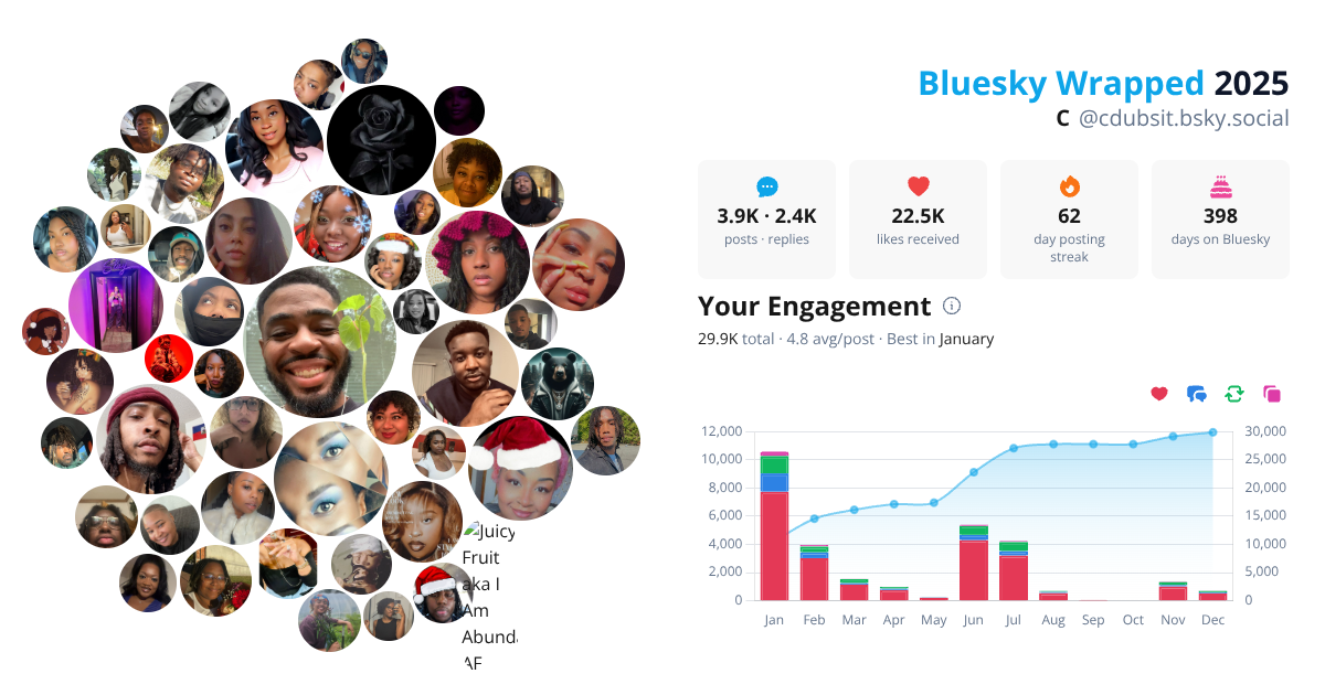 Your Bluesky Wrapped 2025 preview