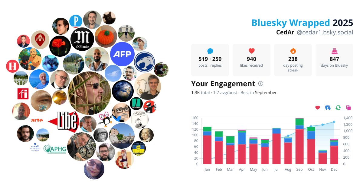 Your Bluesky Wrapped 2025 preview