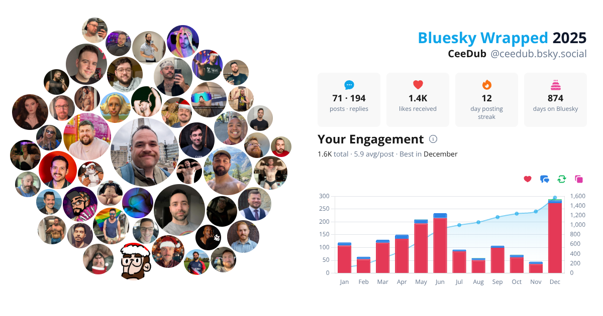 Your Bluesky Wrapped 2025 preview