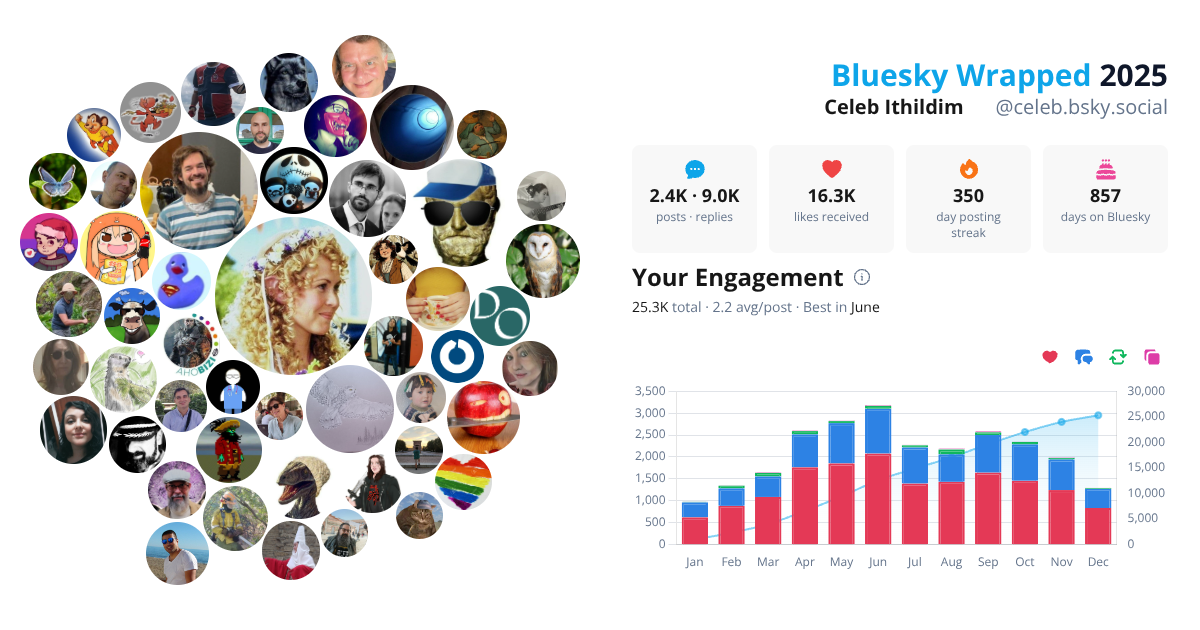 Your Bluesky Wrapped 2025 preview
