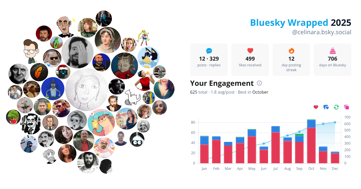 Your Bluesky Wrapped 2025 preview