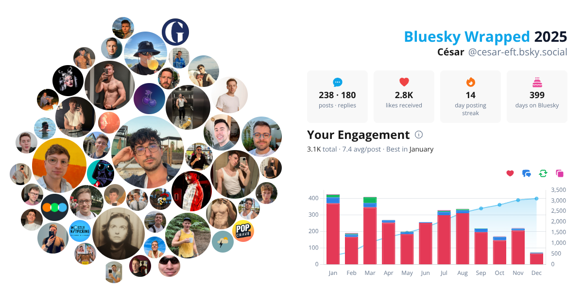Your Bluesky Wrapped 2025 preview