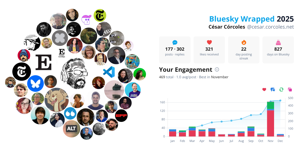 Your Bluesky Wrapped 2025 preview