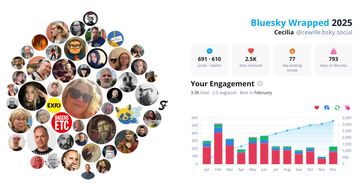 Your Bluesky Wrapped 2025 preview