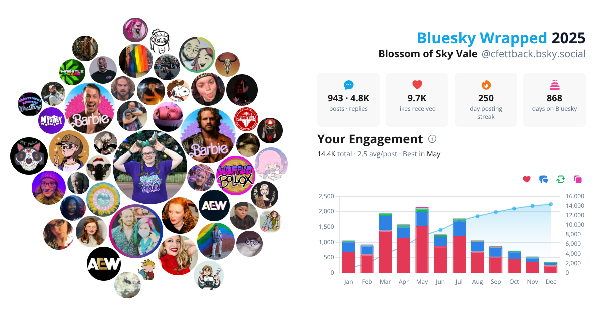 Your Bluesky Wrapped 2025 preview