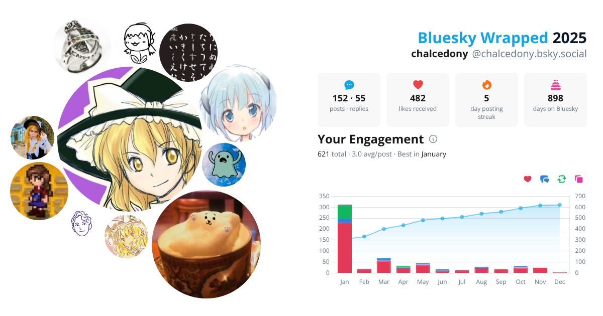 Your Bluesky Wrapped 2025 preview