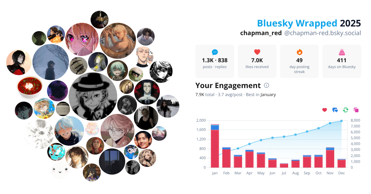 Your Bluesky Wrapped 2025 preview