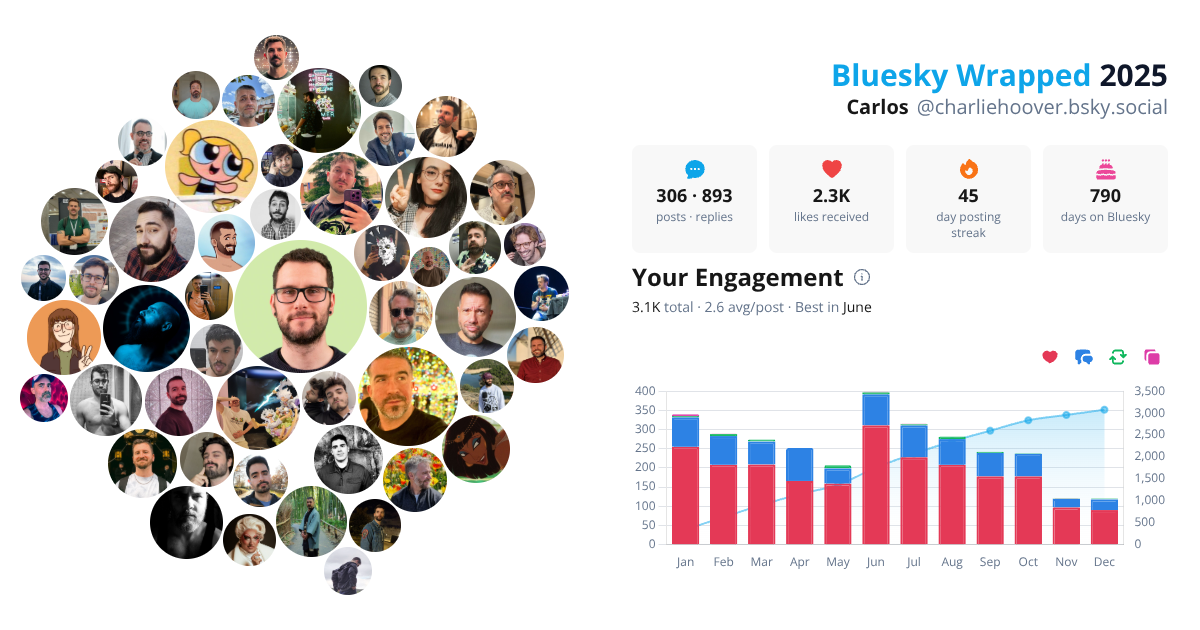 Your Bluesky Wrapped 2025 preview