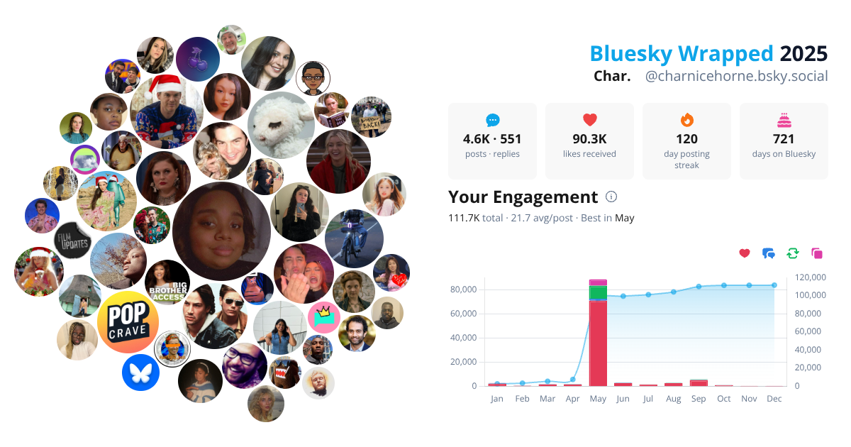 Your Bluesky Wrapped 2025 preview