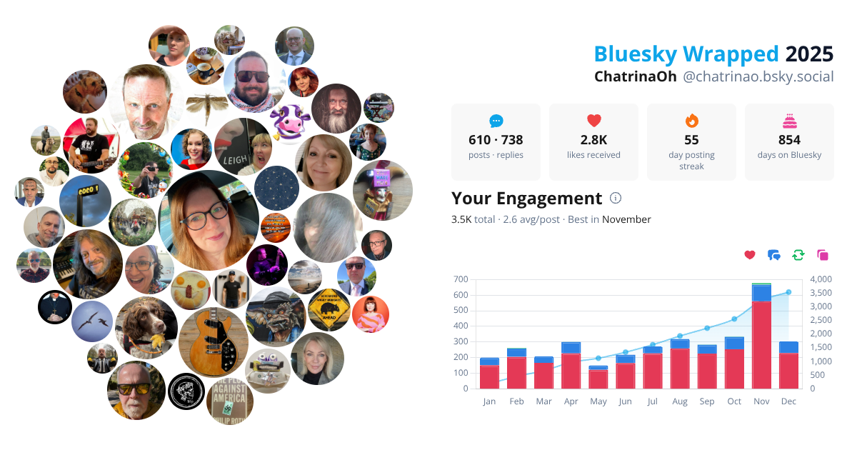 Your Bluesky Wrapped 2025 preview