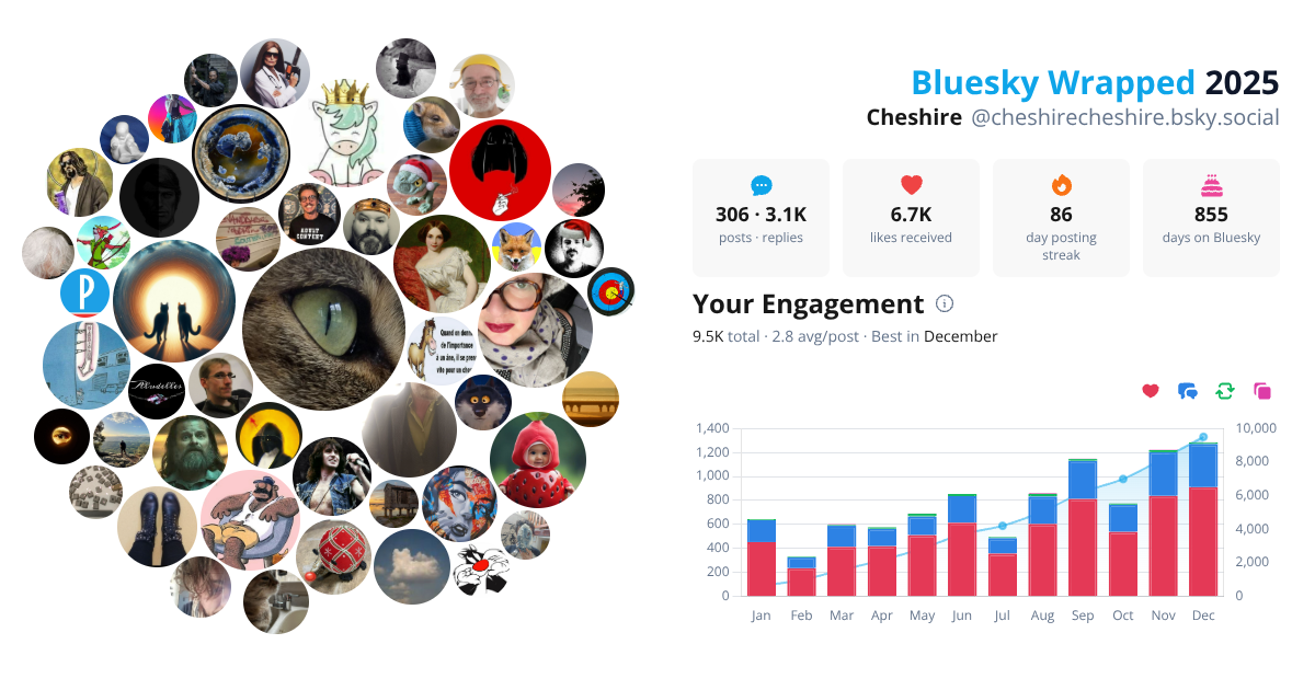 Your Bluesky Wrapped 2025 preview