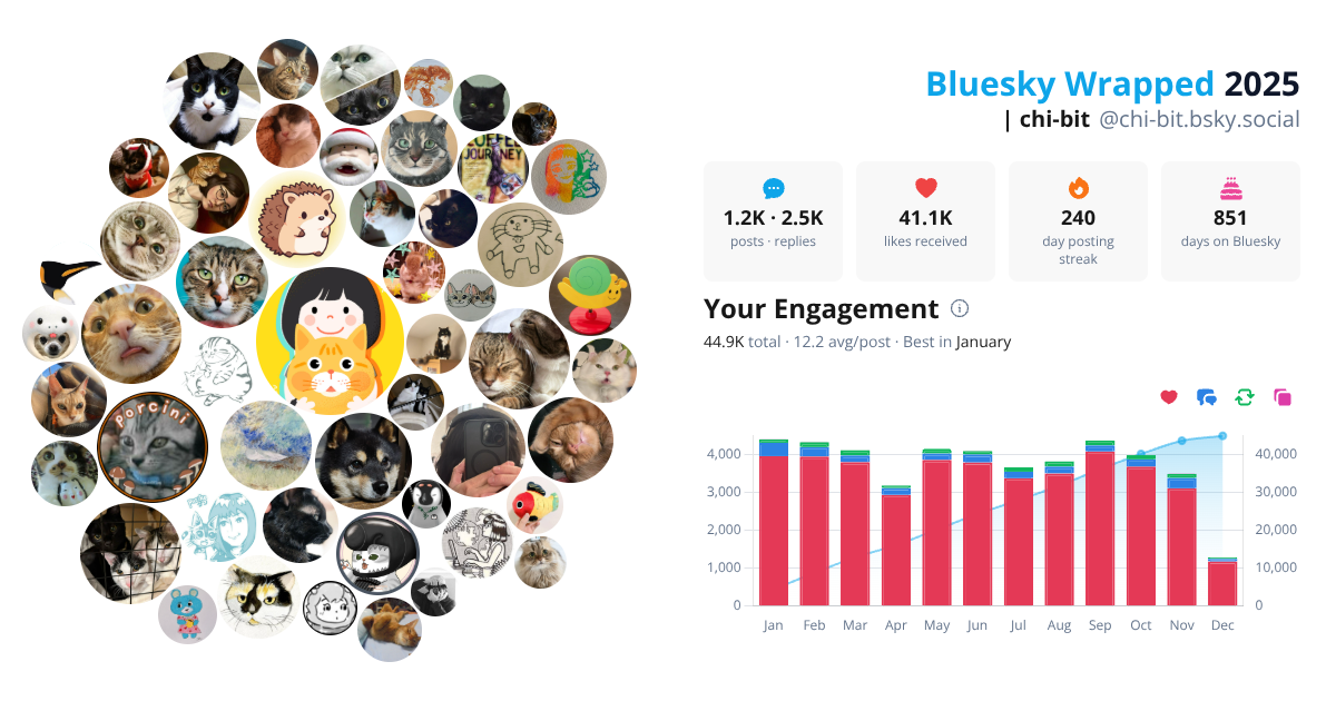 Your Bluesky Wrapped 2025 preview