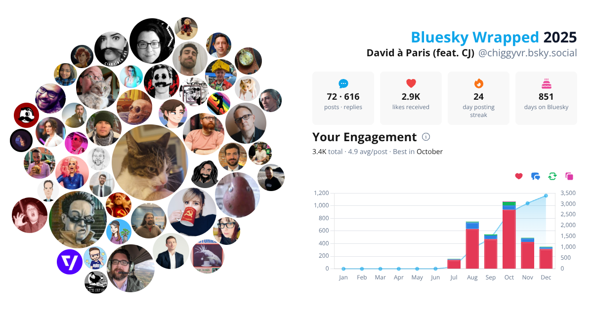 Your Bluesky Wrapped 2025 preview