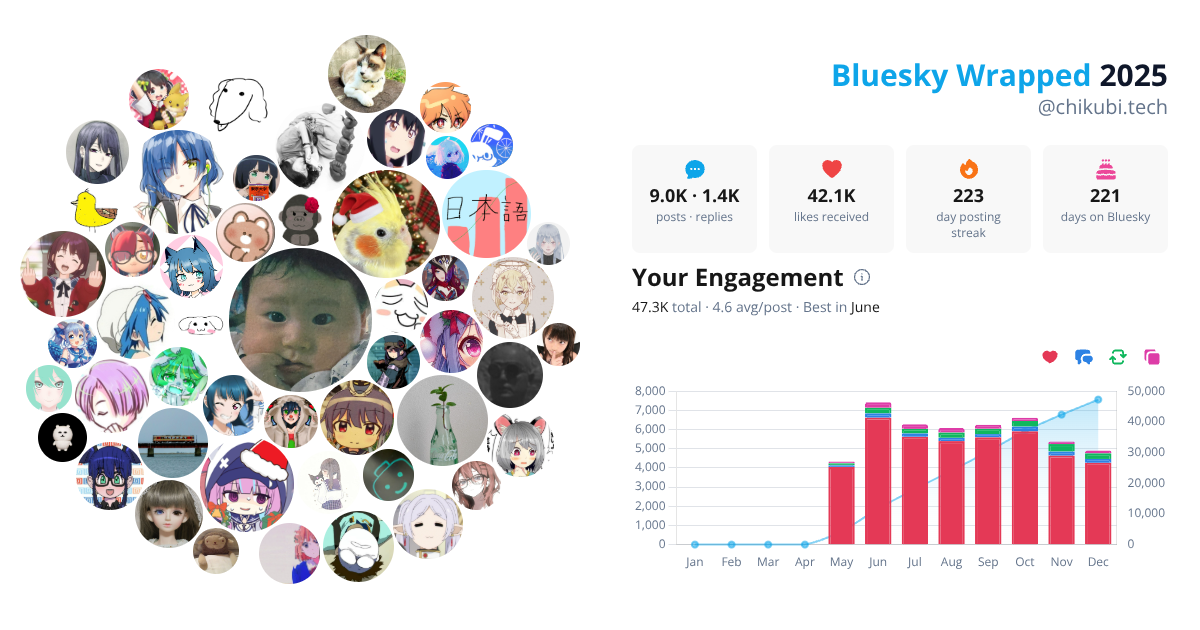 Your Bluesky Wrapped 2025 preview