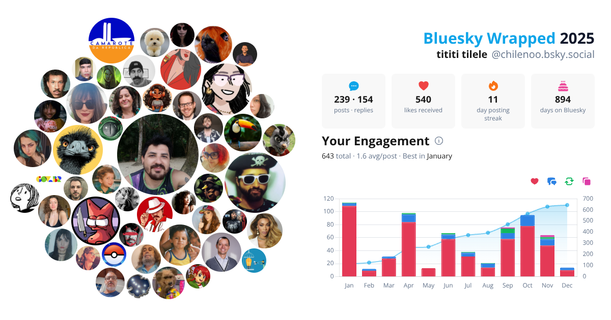 Your Bluesky Wrapped 2025 preview