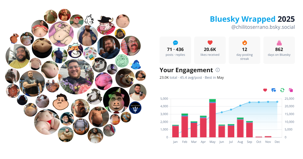 Your Bluesky Wrapped 2025 preview