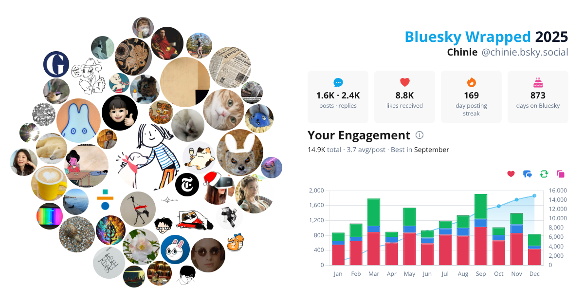 Your Bluesky Wrapped 2025 preview