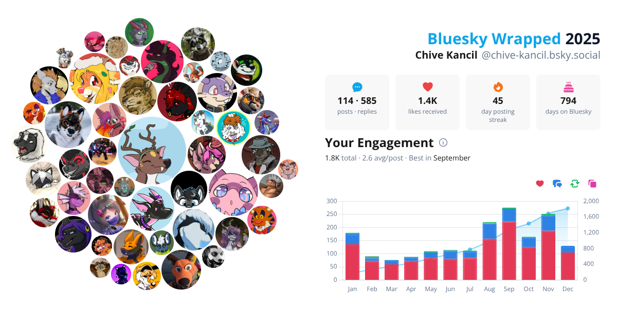 Your Bluesky Wrapped 2025 preview