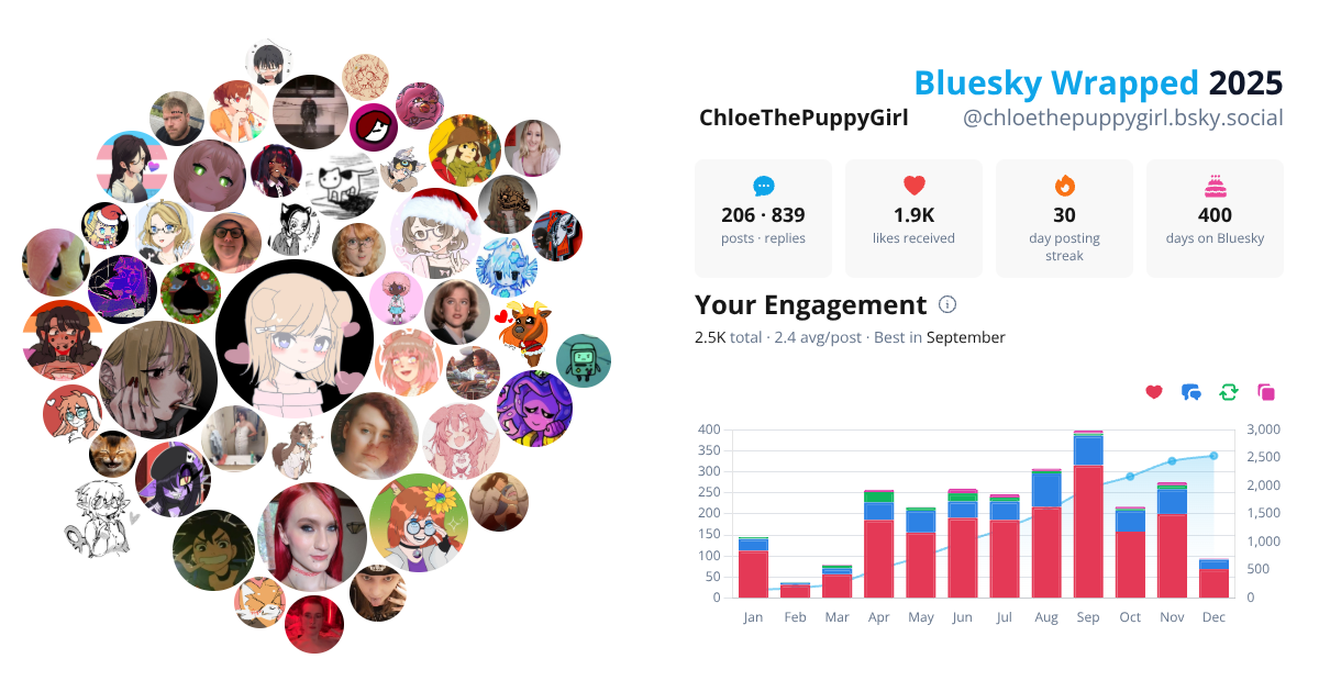 Your Bluesky Wrapped 2025 preview